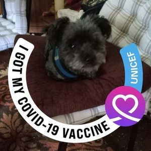 Meet your Posher, Gail